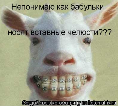 Котоматрица: Непонимаю как бабульки носят вставные челюсти???