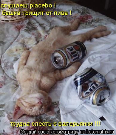слушаеш placebo ! башка трищит от пива ! трудна слесть с валерьянки !!!... Котоматрица: слушаеш placebo ! башка трищит от пива ! трудна слесть с валерьянки !!!