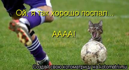 Котоматрица: Ой, я так хорошо поспал... АААА!