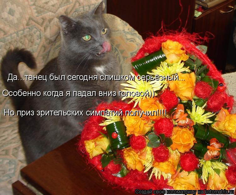 Да...танец был сегодня слишком серьёзный... Но приз зрительских симпатий получил!!!! Особенно когда ... Котоматрица: Да...танец был сегодня слишком серьёзный... Но приз зрительских симпатий получил!!!! Особенно когда я падал вниз головой))