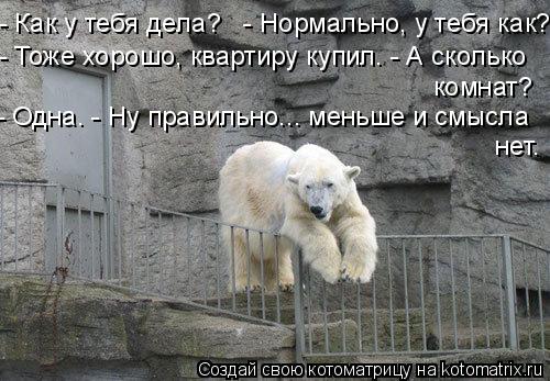 - Как у тебя дела? - Нормально, у тебя как? - Тоже хорошо, квартиру купил. - А сколько комнат? -... Котоматрица: - Как у тебя дела? - Нормально, у тебя как? - Тоже хорошо, квартиру купил. - А сколько комнат? - Одна. - Ну правильно... меньше и смысла нет.