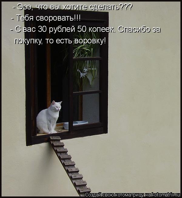 - Эээ, что вы хотите сделать??? - Тебя своровать!!! - С вас 30 рублей 50 копеек. Спасибо за покупку,... Котоматрица: - Эээ, что вы хотите сделать??? - Тебя своровать!!! - С вас 30 рублей 50 копеек. Спасибо за покупку, то есть воровку!