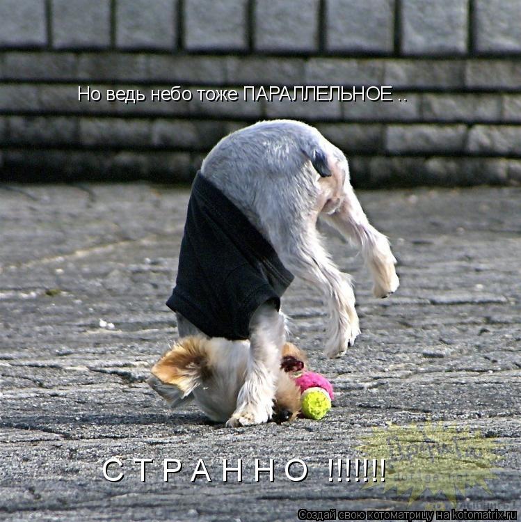 Котоматрица: Но ведь небо тоже ПАРАЛЛЕЛЬНОЕ .. С Т Р А Н Н О  !!!!!!!