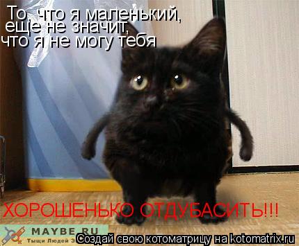 То, что я маленький, еще не значит, что я не могу тебя ХОРОШЕНЬКО ОТДУБАСИТЬ!!!... Котоматрица: То, что я маленький, еще не значит, что я не могу тебя ХОРОШЕНЬКО ОТДУБАСИТЬ!!!