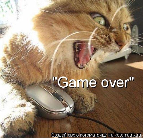 "Game over"... Котоматрица: "Game over"