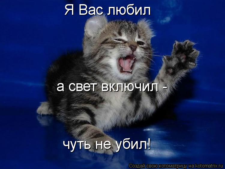 Я Вас любил а свет включил - чуть не убил!... Котоматрица: Я Вас любил а свет включил - чуть не убил!