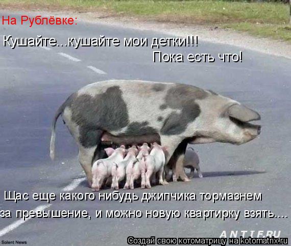 Кушайте...кушайте мои детки!!! Пока есть что! Щас еще какого нибудь джипчика тормазнем за превышение,... Котоматрица: Кушайте...кушайте мои детки!!! Пока есть что! Щас еще какого нибудь джипчика тормазнем за превышение, и можно новую квартирку взять.... На Рубл