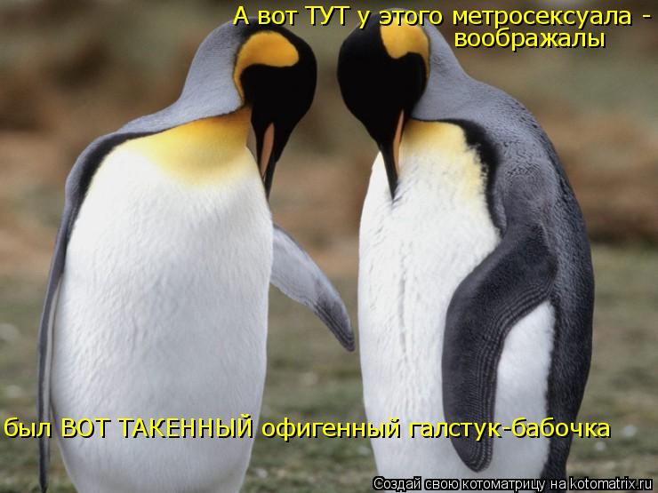 А вот ТУТ у этого метросексуала - воображалы был ВОТ ТАКЕННЫЙ офигенный галстук-бабочка... Котоматрица: А вот ТУТ у этого метросексуала - воображалы был ВОТ ТАКЕННЫЙ офигенный галстук-бабочка