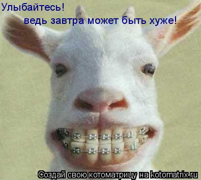 Улыбайтесь! ведь завтра может быть хуже!... Котоматрица: Улыбайтесь! ведь завтра может быть хуже!