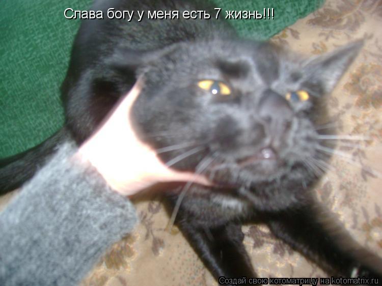 Котоматрица: Слава богу у меня есть 7 жизнь!!!
