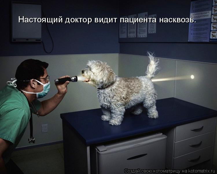 Настоящий доктор видит пациента насквозь.... Котоматрица: Настоящий доктор видит пациента насквозь.