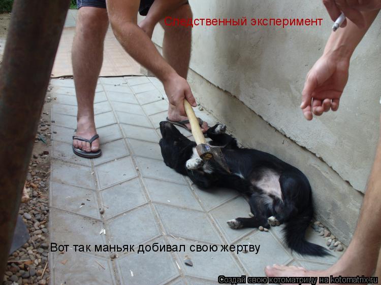 Следственный эксперимент Вот так маньяк добивал свою жертву... Котоматрица: Следственный эксперимент Вот так маньяк добивал свою жертву