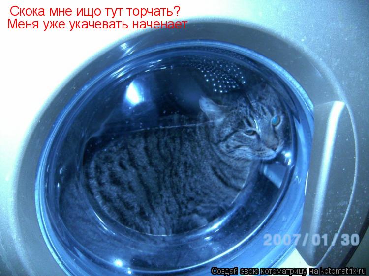 Котоматрица: Скока мне ищо тут торчать? Меня уже укачевать наченает