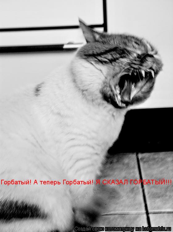 Горбатый! А теперь Горбатый! Я СКАЗАЛ ГОРБАТЫЙ!!!... Котоматрица: Горбатый! А теперь Горбатый! Я СКАЗАЛ ГОРБАТЫЙ!!!