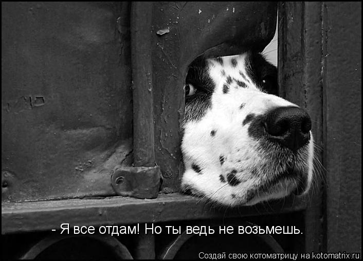 - Я все отдам! Но ты ведь не возьмешь…... Котоматрица: - Я все отдам! Но ты ведь не возьмешь…