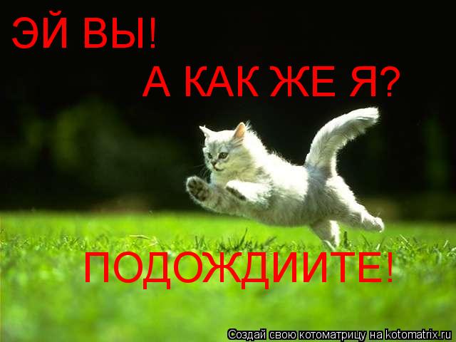 ЭЙ ВЫ! А КАК ЖЕ Я? ПОДОЖДИИТЕ!... Котоматрица: ЭЙ ВЫ! А КАК ЖЕ Я? ПОДОЖДИИТЕ!