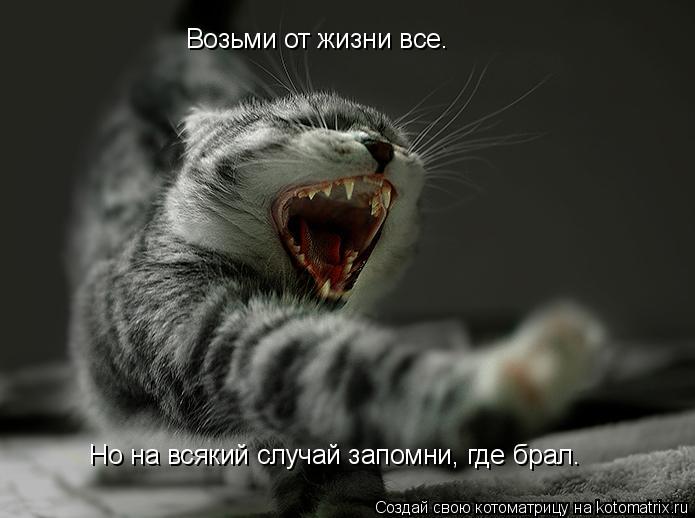 Возьми от жизни все. Но на всякий случай запомни, где брал.... Котоматрица: Возьми от жизни все. Но на всякий случай запомни, где брал.