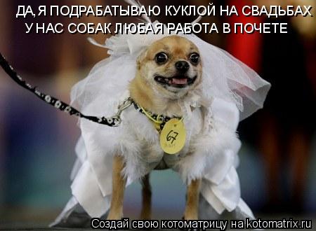 ДА,Я ПОДРАБАТЫВАЮ КУКЛОЙ НА СВАДЬБАХ У НАС СОБАК ЛЮБАЯ РАБОТА В ПОЧЕТЕ... Котоматрица: ДА,Я ПОДРАБАТЫВАЮ КУКЛОЙ НА СВАДЬБАХ У НАС СОБАК ЛЮБАЯ РАБОТА В ПОЧЕТЕ