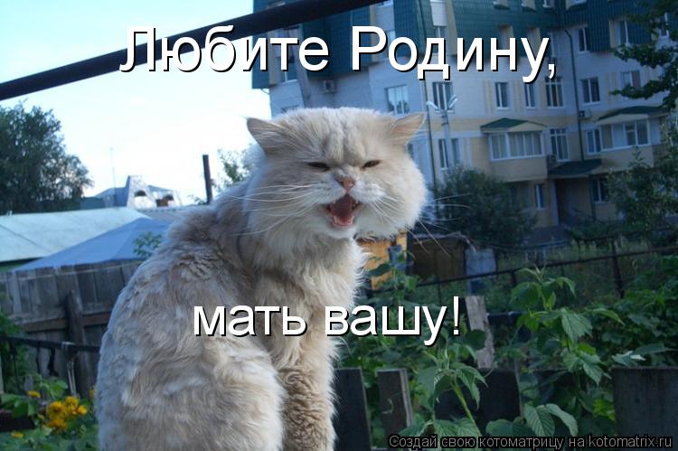 Любите Родину, мать вашу!... Котоматрица: Любите Родину, мать вашу!