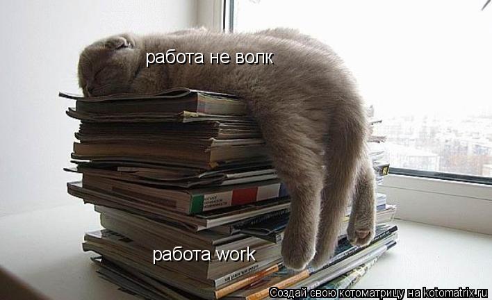 работа не волк работа work... Котоматрица: работа не волк работа work