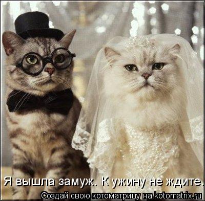 Я вышла замуж. К ужину не ждите...... Котоматрица: Я вышла замуж. К ужину не ждите...