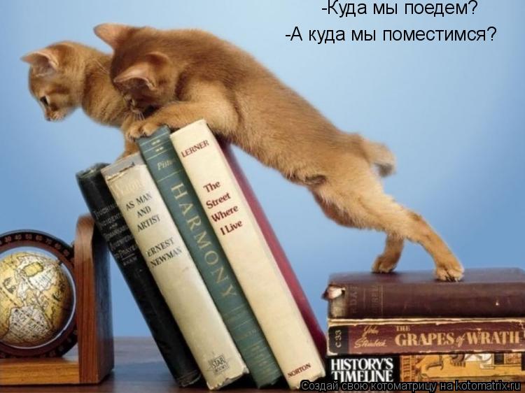 -А куда мы поместимся? -Куда мы поедем?... Котоматрица: -А куда мы поместимся? -Куда мы поедем?