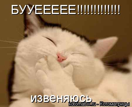 БУУЕЕЕЕЕ!!!!!!!!!!!!! извеняюсь... Котоматрица: БУУЕЕЕЕЕ!!!!!!!!!!!!! извеняюсь