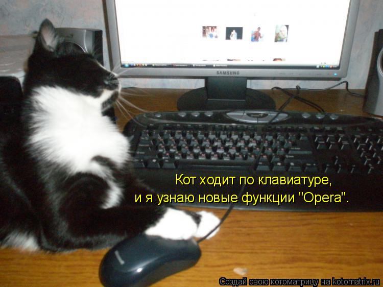 Котоматрица: Кот ходит по клавиатуре,   и я узнаю новые функции "Ореrа".