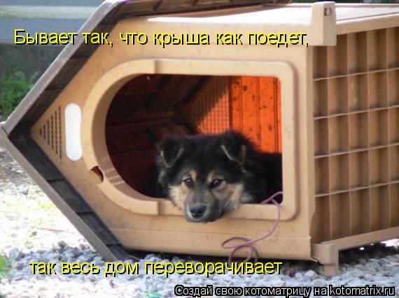 Бывает так, что крыша как поедет, так весь дом переворачивает... Котоматрица: Бывает так, что крыша как поедет, так весь дом переворачивает