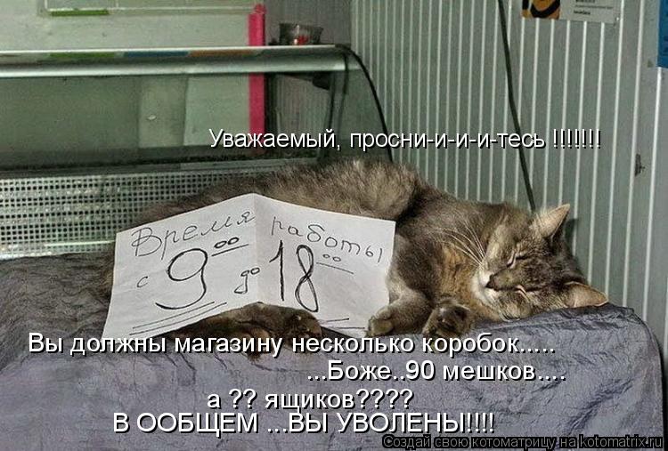 Уважаемый, просни-и-и-и-тесь !!!!!!! Вы должны магазину несколько коробок..... ...Боже..90 мешков....... Котоматрица: Уважаемый, просни-и-и-и-тесь !!!!!!! Вы должны магазину несколько коробок..... ...Боже..90 мешков.... а ?? ящиков???? В ООБЩЕМ ...ВЫ УВОЛЕНЫ!!!!
