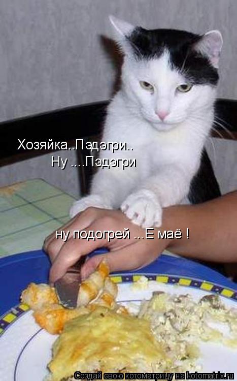 Хозяйка..Пэдэгри.. Ну ....Пэдэгри ну подогрей ...Е маё !... Котоматрица: Хозяйка..Пэдэгри.. Ну ....Пэдэгри ну подогрей ...Е маё !
