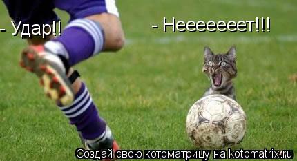 Котоматрица: - Удар!! - Нееееееет!!!