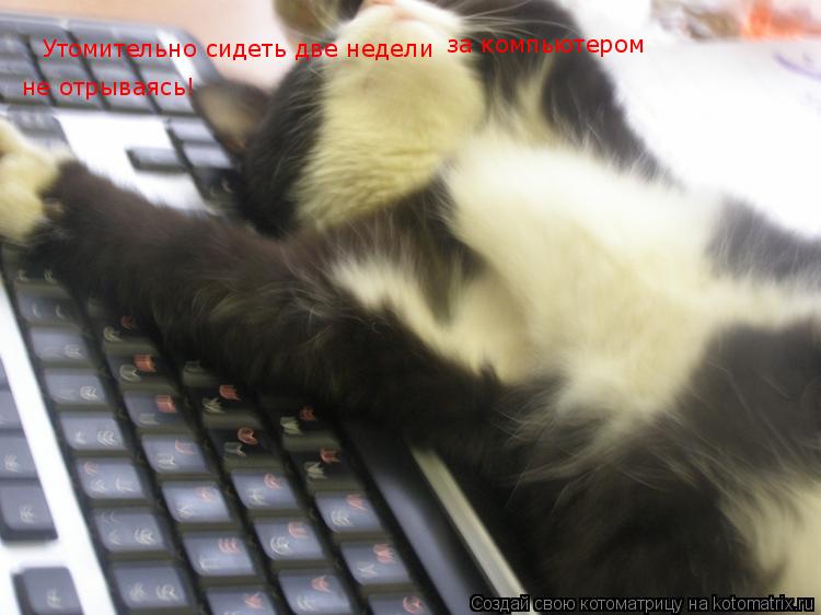 Утомительно сидеть две недели за компьютером не отрываясь!... Котоматрица: Утомительно сидеть две недели за компьютером не отрываясь!