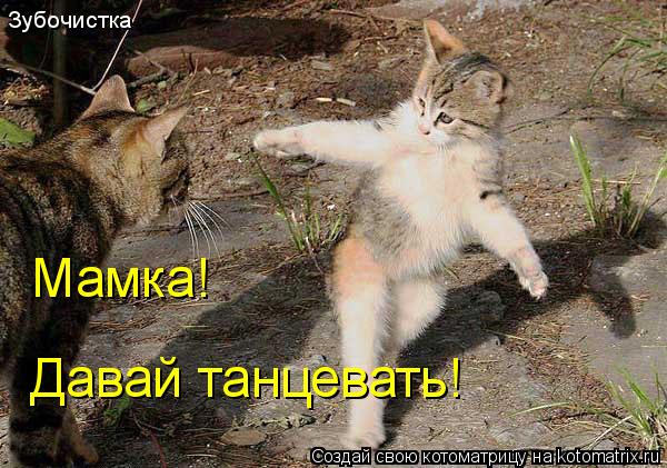Зубочистка Мамка! Давай танцевать!... Котоматрица: Зубочистка Мамка! Давай танцевать!