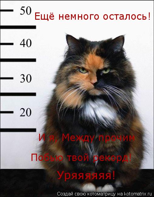 Ещё немного осталось! И я, Между прочим Побью твой рекорд! Уряяяяяя!... Котоматрица: Ещё немного осталось! И я, Между прочим Побью твой рекорд! Уряяяяяя!
