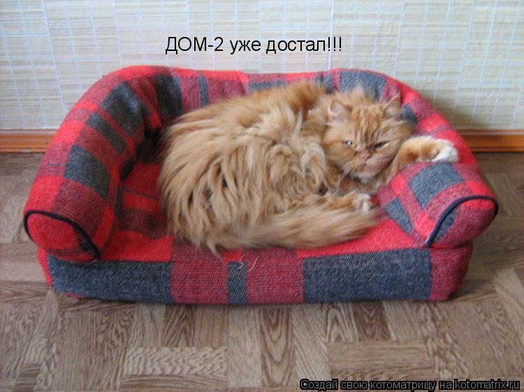 ДОМ-2 уже достал!!!... Котоматрица: ДОМ-2 уже достал!!!