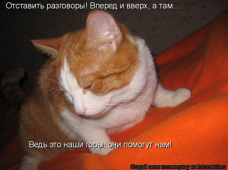 Отставить разговоры! Вперед и вверх, а там... Ведь это наши горы, они помогут нам!... Котоматрица: Отставить разговоры! Вперед и вверх, а там... Ведь это наши горы, они помогут нам!