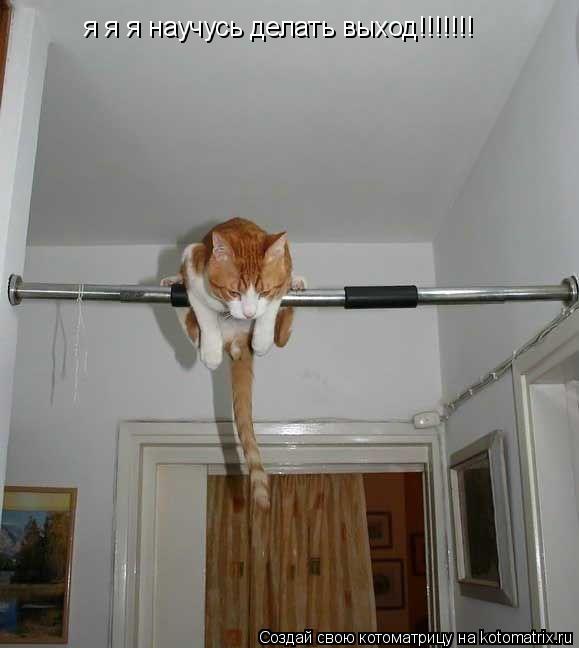 я я я научусь делать выход!!!!!!!... Котоматрица: я я я научусь делать выход!!!!!!!