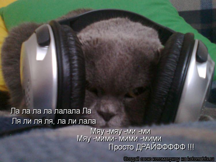 Котоматрица: Ла ла ла ла лалала Ла Ля ли ля ля, ла ли лала Мяу -мяу -ми -ми  Просто ДРАЙФФФФФ !!! Мяу -мими- мими -мими