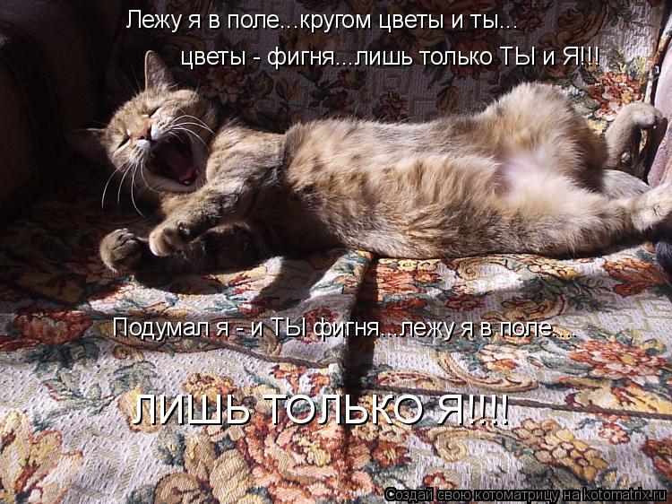 Лежу я в поле...кругом цветы и ты... цветы - фигня...лишь только ТЫ и Я!!! Подумал я - и ТЫ фигня...л... Котоматрица: Лежу я в поле...кругом цветы и ты... цветы - фигня...лишь только ТЫ и Я!!! Подумал я - и ТЫ фигня...лежу я в поле.... ЛИШЬ ТОЛЬКО Я!!!!