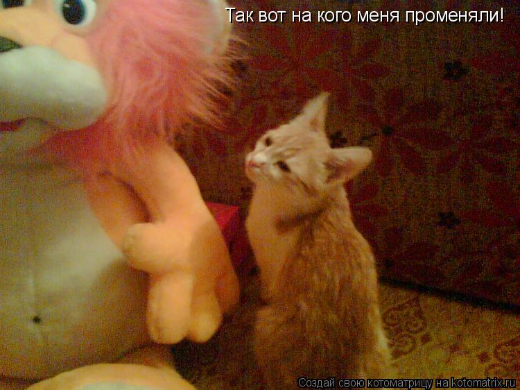 Так вот на кого меня променяли!... Котоматрица: Так вот на кого меня променяли!