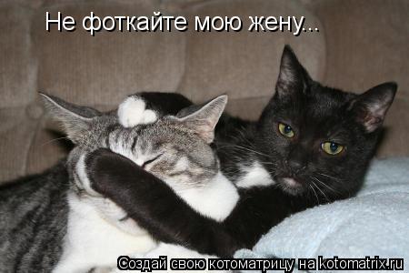Не фоткайте мою жену...... Котоматрица: Не фоткайте мою жену...