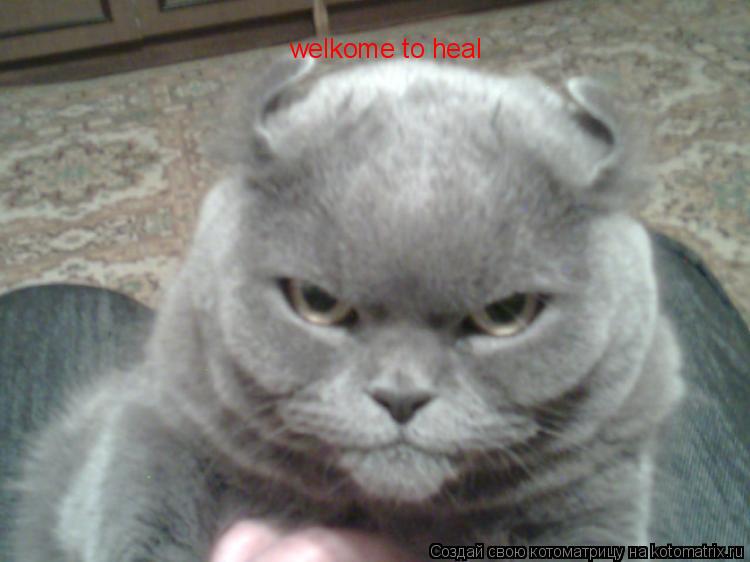 welkome to heal... Котоматрица: welkome to heal