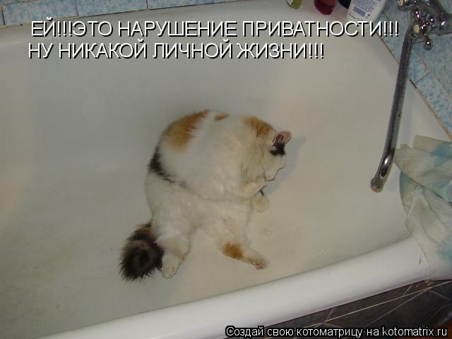 ЕЙ!!!ЭТО НАРУШЕНИЕ ПРИВАТНОСТИ!!! НУ НИКАКОЙ ЛИЧНОЙ ЖИЗНИ!!!... Котоматрица: ЕЙ!!!ЭТО НАРУШЕНИЕ ПРИВАТНОСТИ!!! НУ НИКАКОЙ ЛИЧНОЙ ЖИЗНИ!!!