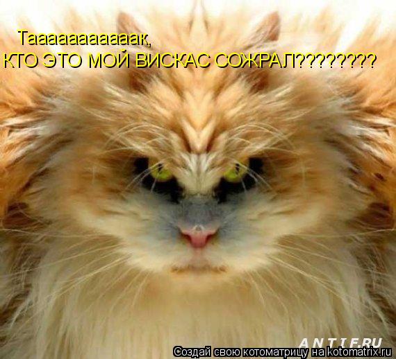 Тааааааааааак, КТО ЭТО МОЙ ВИСКАС СОЖРАЛ????????... Котоматрица: Тааааааааааак, КТО ЭТО МОЙ ВИСКАС СОЖРАЛ????????