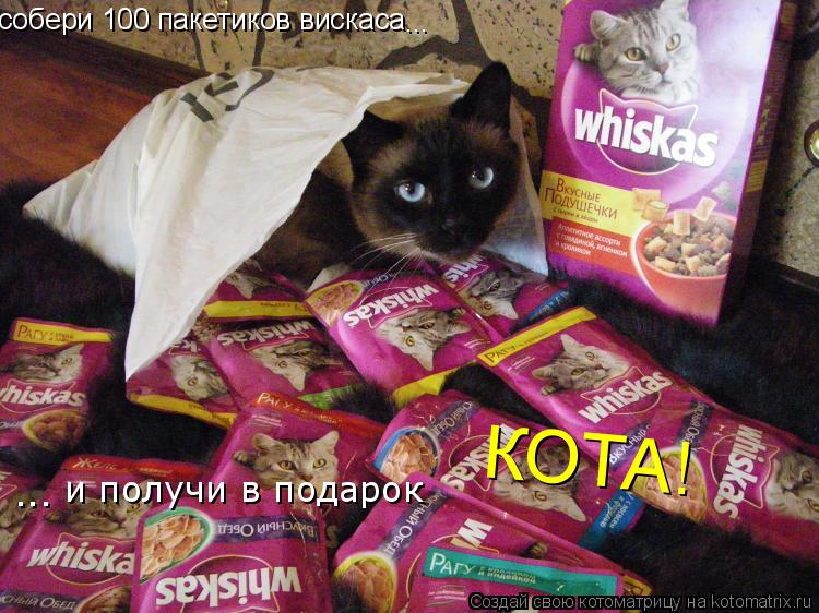 Котоматрица: собери 100 пакетиков вискаса  ... и получи в подарок  ... КОТА!