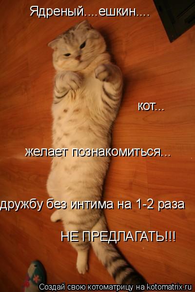 кот... желает познакомиться... дружбу без интима на 1-2 раза Ядреный....ешкин.... НЕ ПРЕДЛАГАТЬ!!!... Котоматрица: кот... желает познакомиться... дружбу без интима на 1-2 раза Ядреный....ешкин.... НЕ ПРЕДЛАГАТЬ!!!