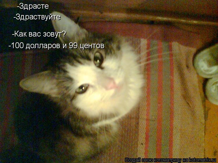 -Здрасте -Здраствуйте -Как вас зовут? -100 долларов и 99 центов... Котоматрица: -Здрасте -Здраствуйте -Как вас зовут? -100 долларов и 99 центов