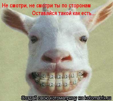 Не смотри, не смотри ты по сторонам Оставайся такой как есть...... Котоматрица: Не смотри, не смотри ты по сторонам Оставайся такой как есть...