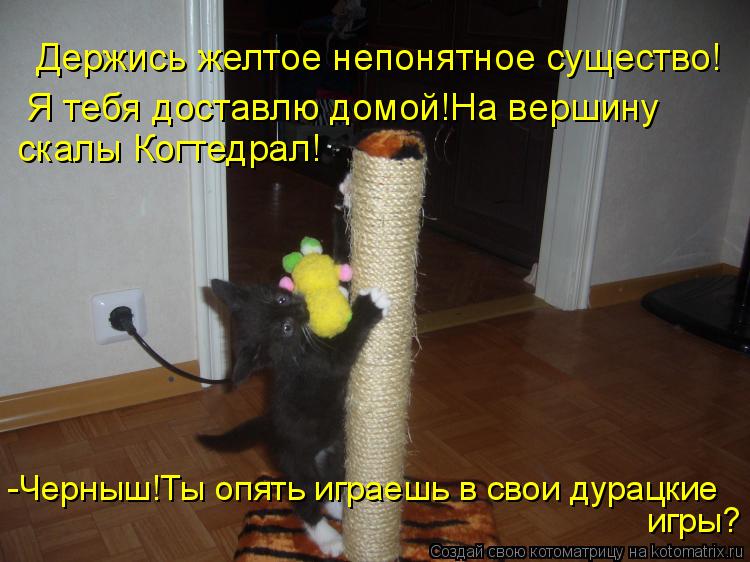 Держись желтое непонятное существо! Я тебя доставлю домой!На вершину скалы Когтедрал! -Черныш!Ты опят... Котоматрица: Держись желтое непонятное существо! Я тебя доставлю домой!На вершину скалы Когтедрал! -Черныш!Ты опять играешь в свои дурацкие игры?
